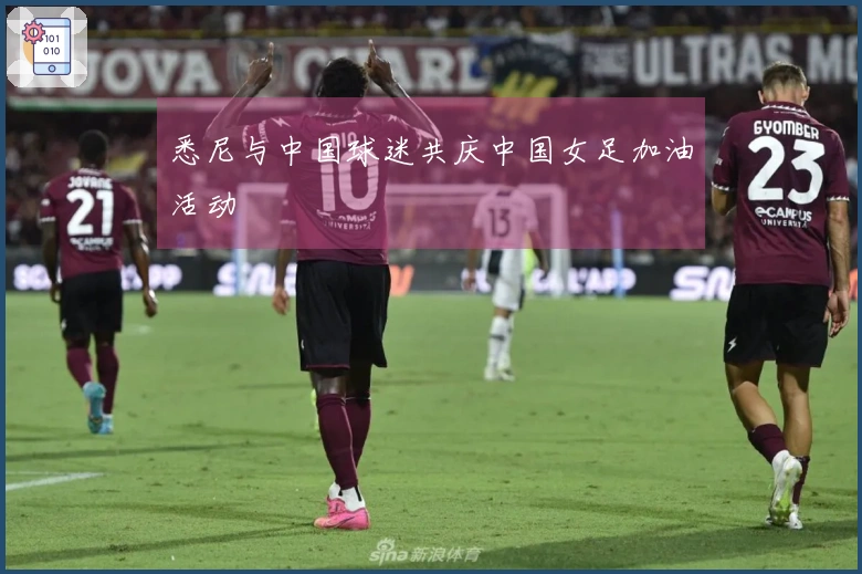 悉尼与中国球迷共庆中国女足加油活动